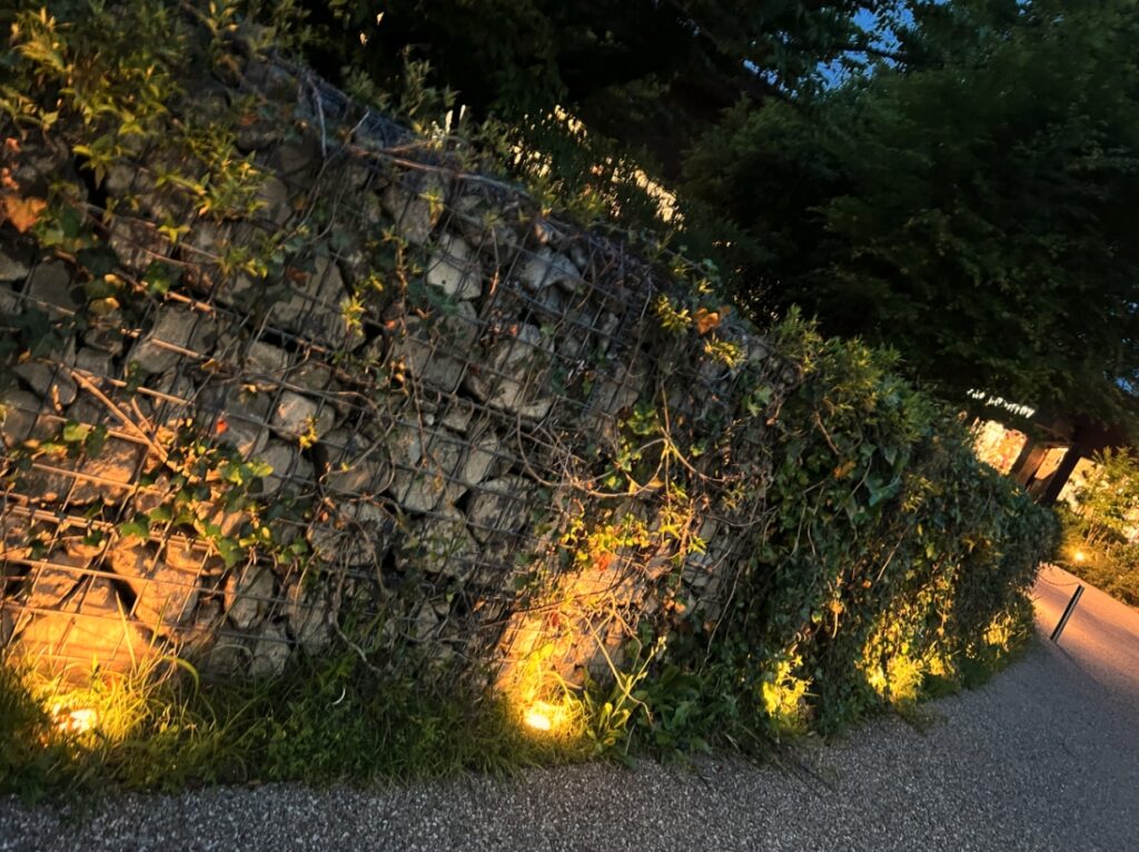 ガビオンに植栽が絡み合い