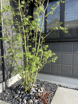 緑があるエクステリア