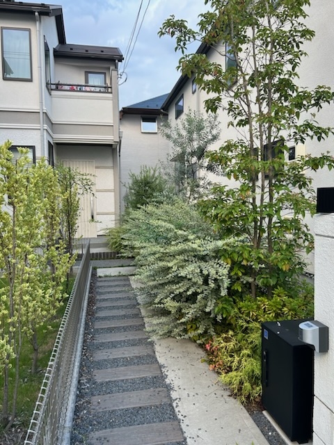 植物が育って