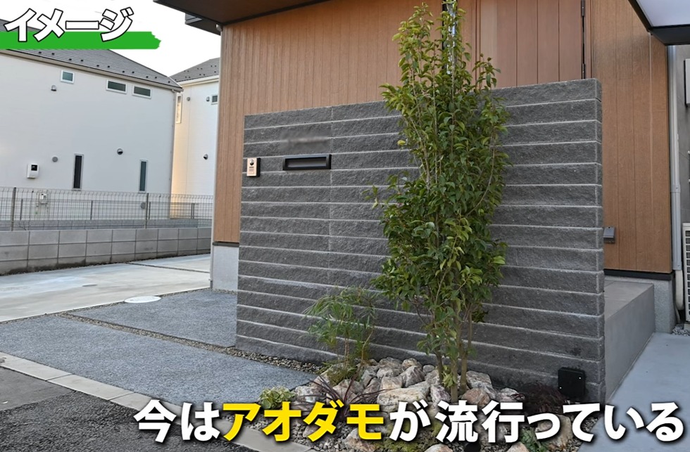 アオダモ