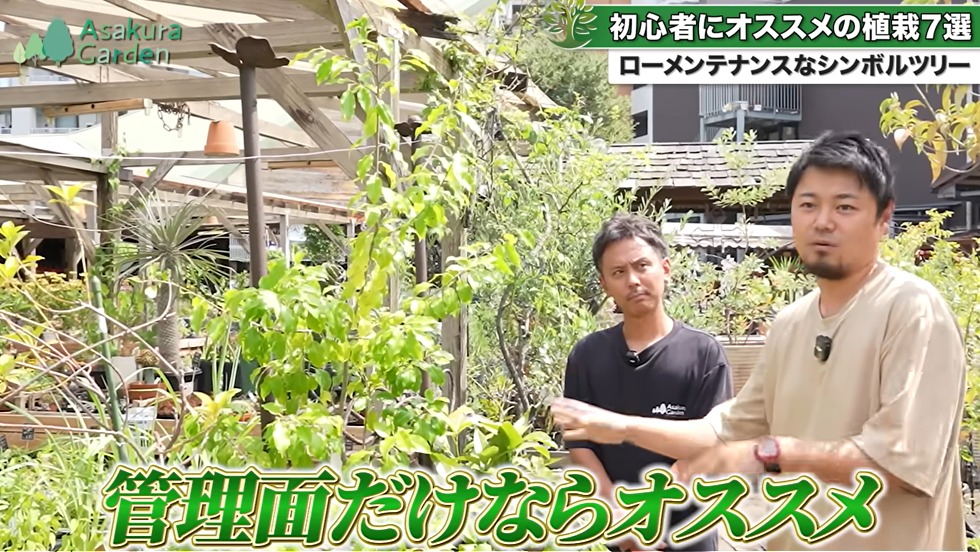 初心者にオススメの植栽7選