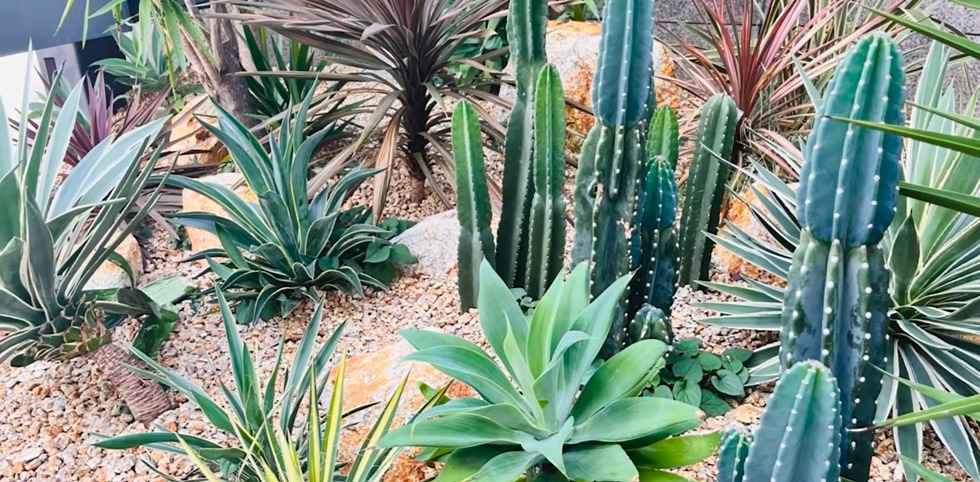 植栽シーンや樹木のサイズ感