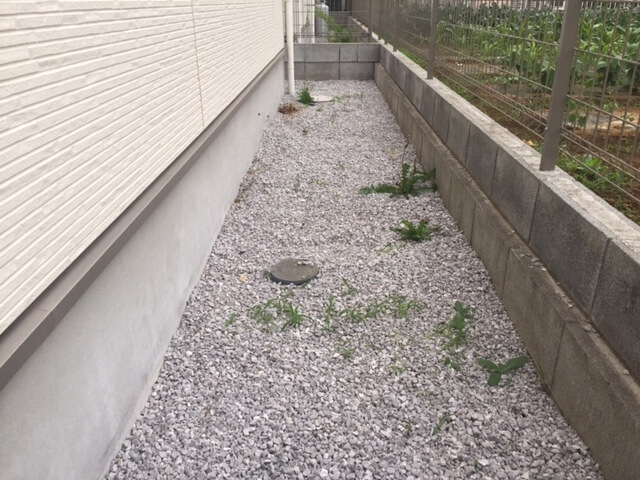 雑草