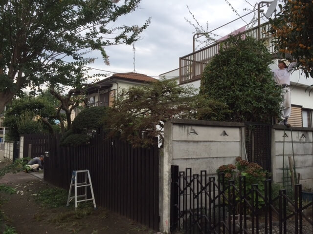 庭木の手入れ
