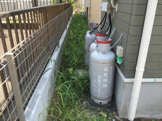 雑草シーズン