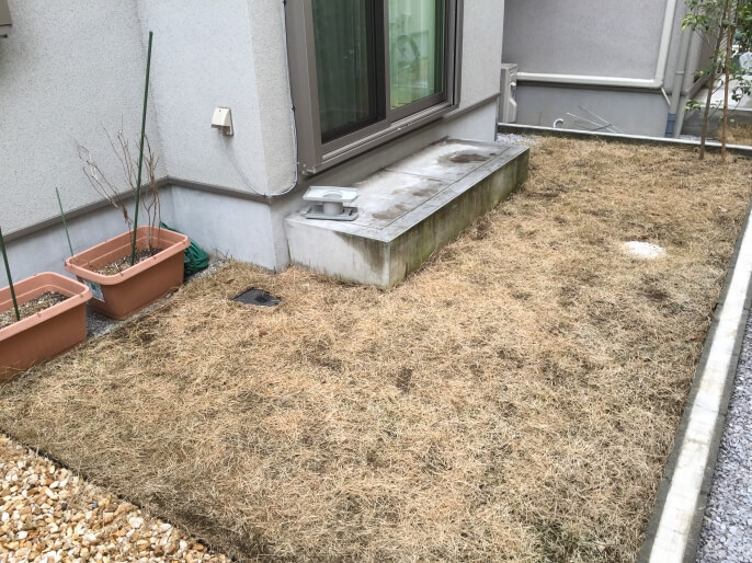 芝生のお庭