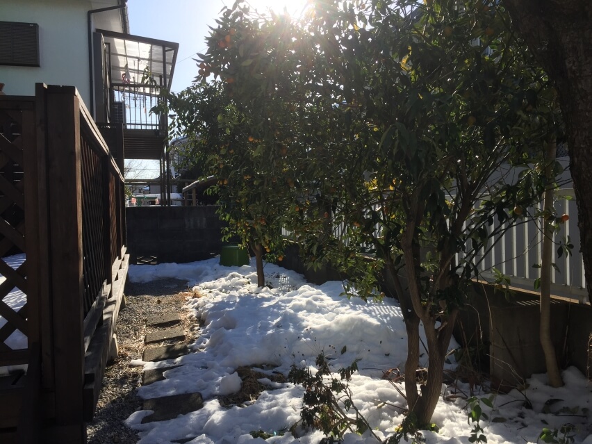 リフォーム前