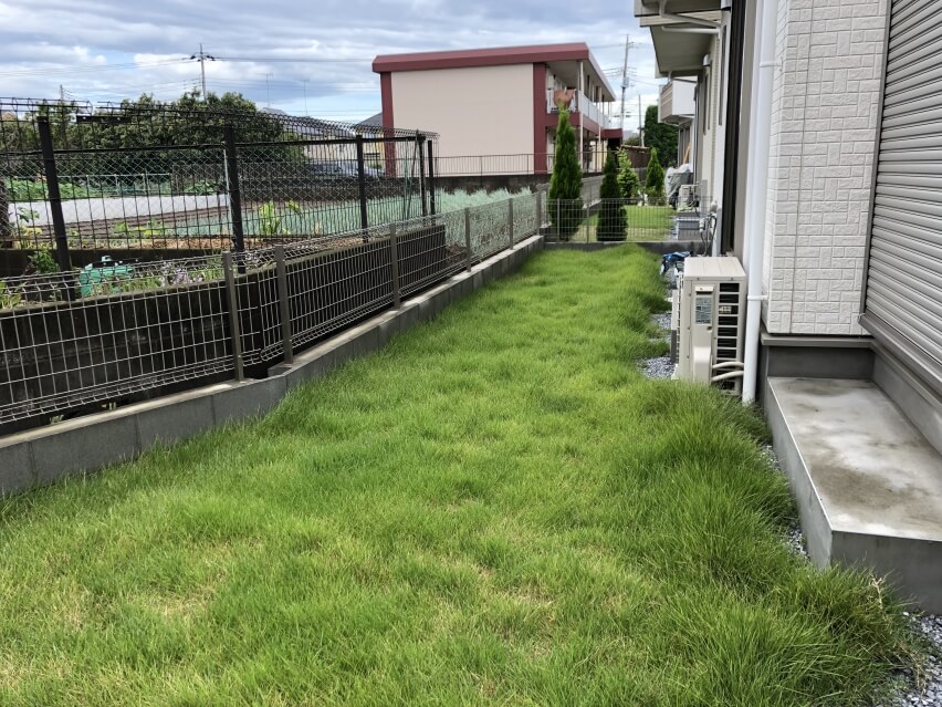 芝刈り前