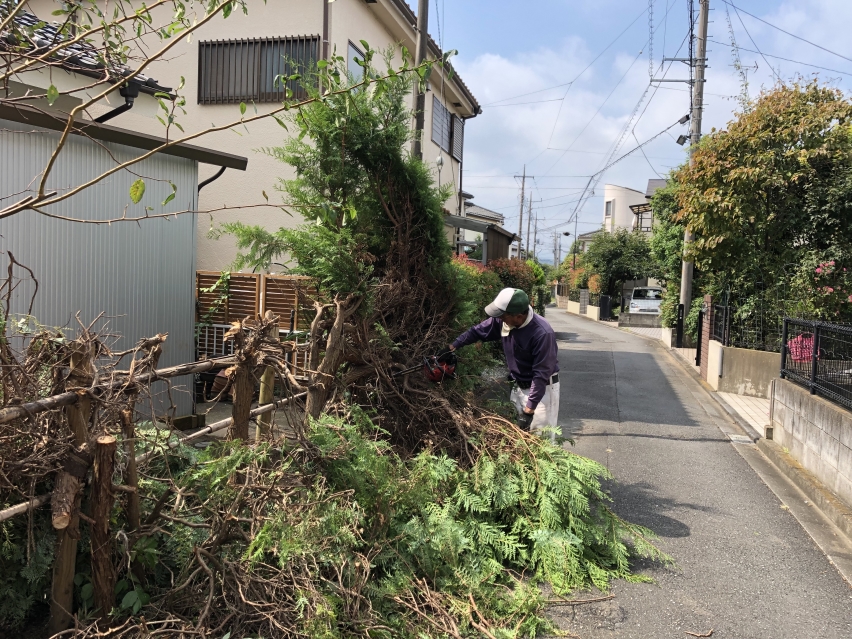生垣の撤去