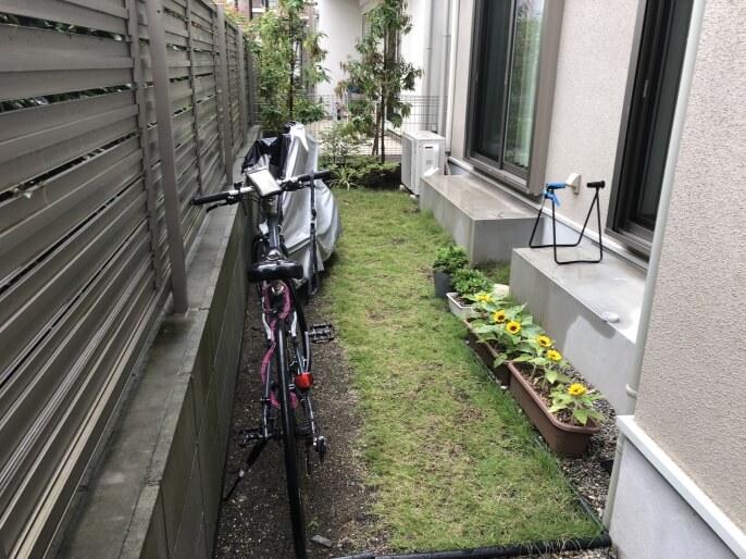 Before