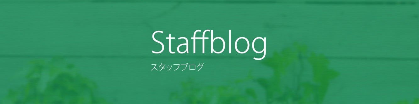 Staffblog åե֥