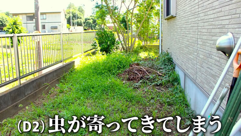 雑草で虫がよってくる