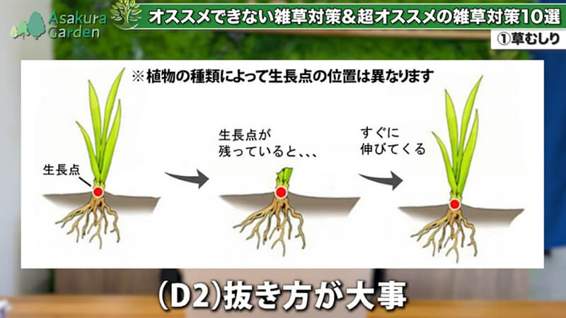 雑草の抜き方